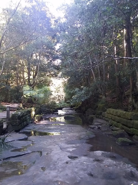 Our Open Spaces, Bushland and Flat Rock Gully